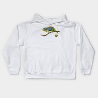 Funny Chameleon Kids Hoodie